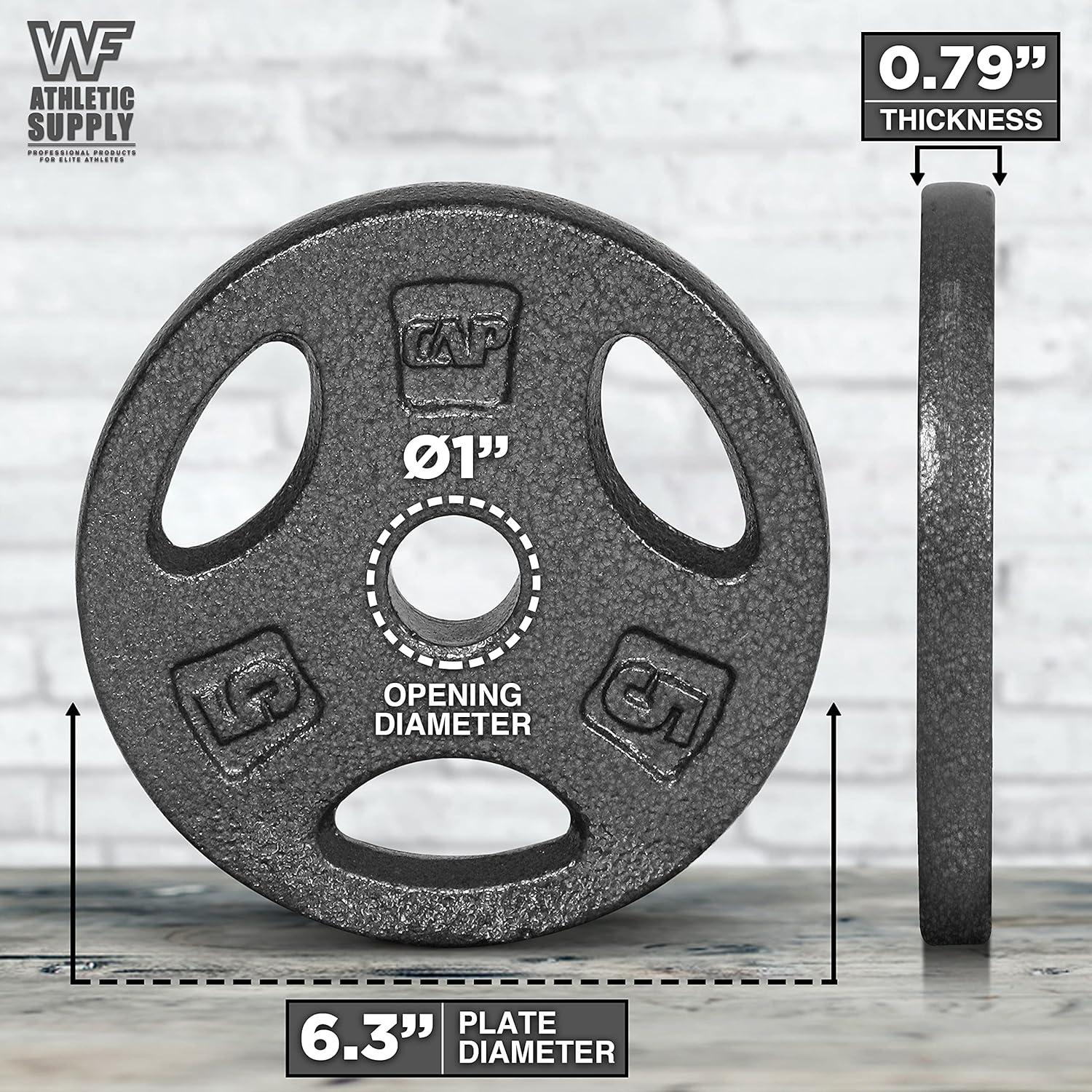 Cast Iron 1-Inch Standard Grip - Crossfit Training ulasan dan harga